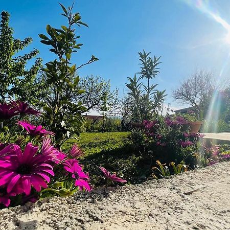 Apartment Iva Ριέκα Εξωτερικό φωτογραφία