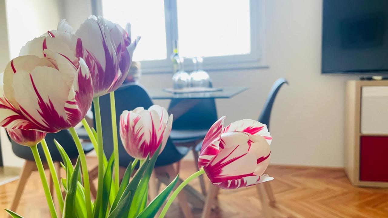 Apartment Iva Ριέκα Εξωτερικό φωτογραφία