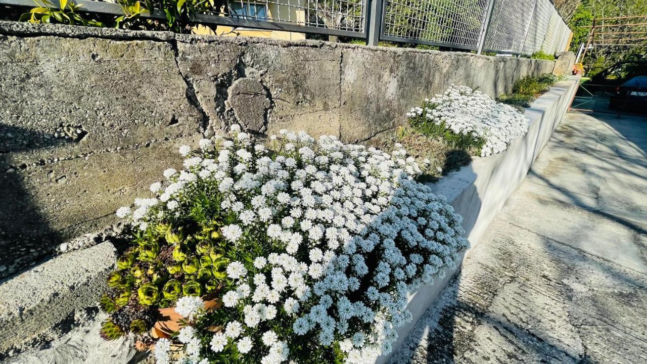 Apartment Iva Ριέκα Εξωτερικό φωτογραφία